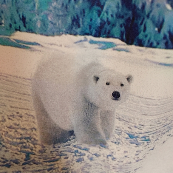 Blackmilk Minty Fresh Polar Bear Dress NWOT - Picture 3 of 4